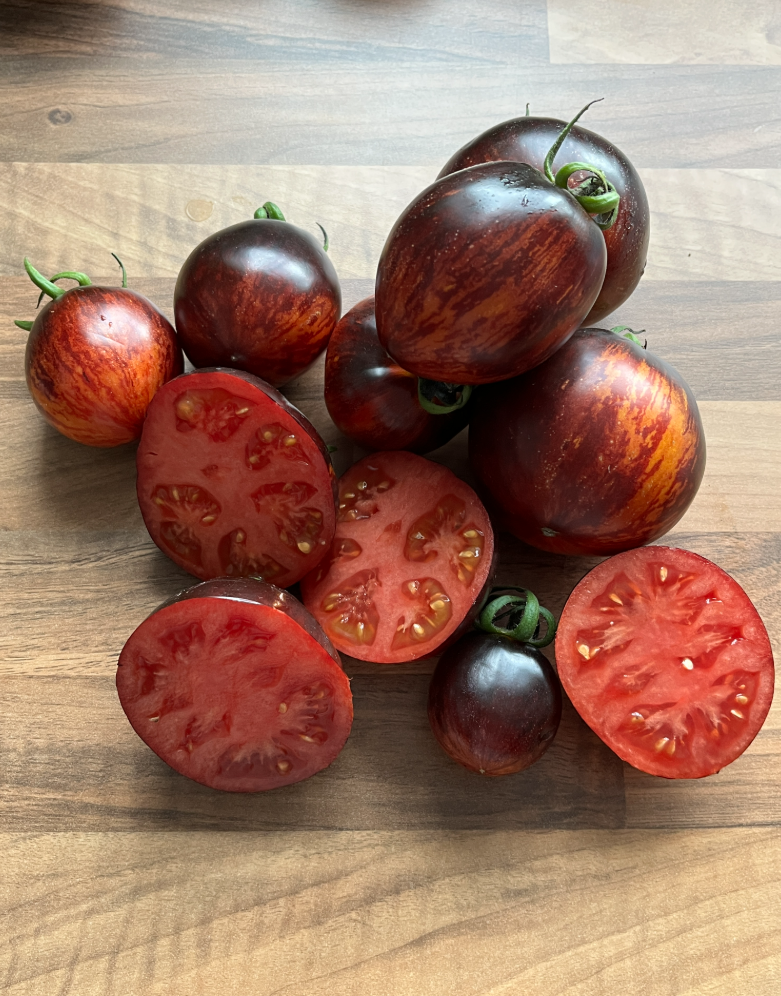 New for 2026 — Chicago Tomato Man